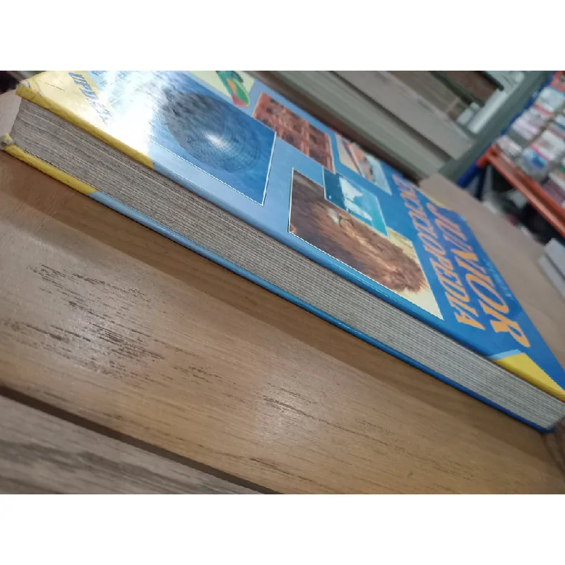 Hamlyn junior encyclopedia 584592