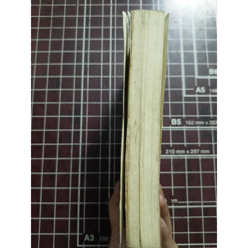 Việt Nam cái nhìn địa - văn hóa - Trần Quốc Vượng 731169