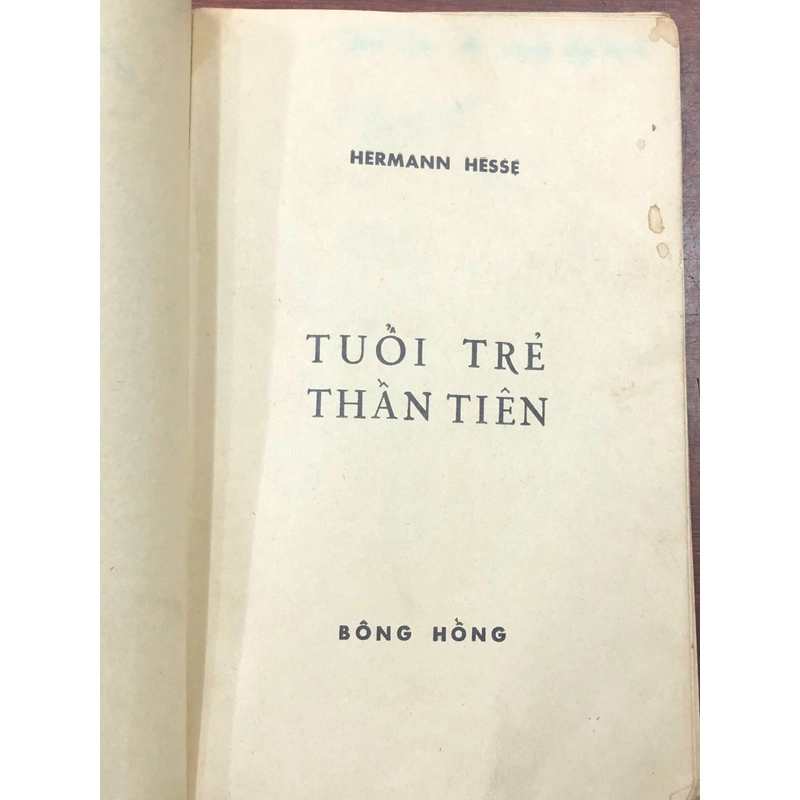TUỔI TRẺ THẦN TIÊN - HERMAN HESSE 463905