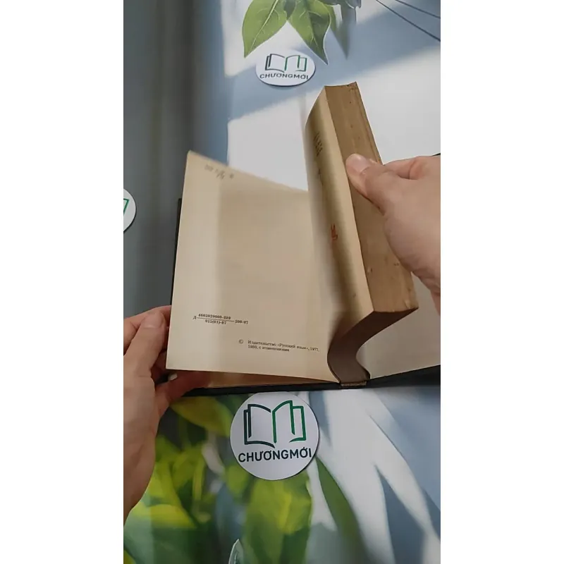 [MIỄN PHÍ BỌC SÁCH] A Book of Russian Idioms Illustrated - M.I. Dubrovin 749567