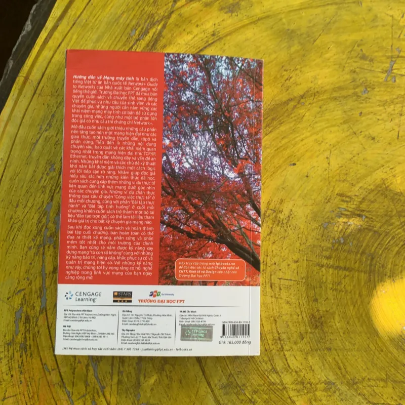 HƯỚNG DẪN VEEF MẠNG MÁY TÍNH - TAMARA DEAN 1003972