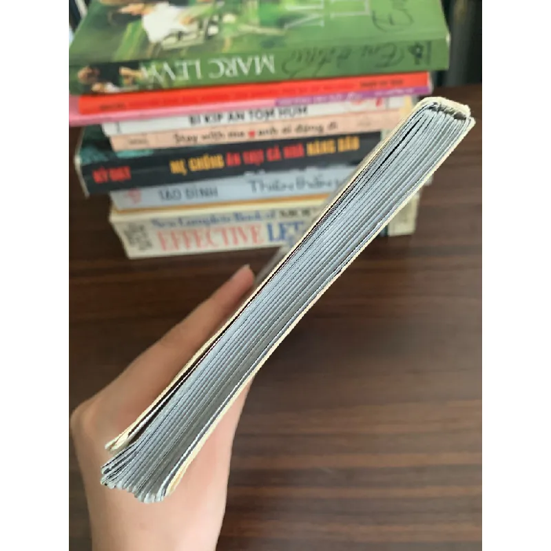 Hành trình Cat Tới Singapore – Mèo Mốc 558560