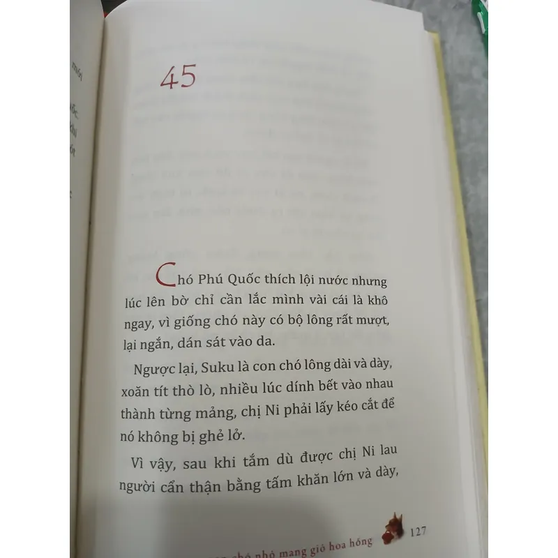 CON CHÓ NHỎ MANG GIỎ HOA HỒNG - NGUYỄN NHẬT ÁNH 735584