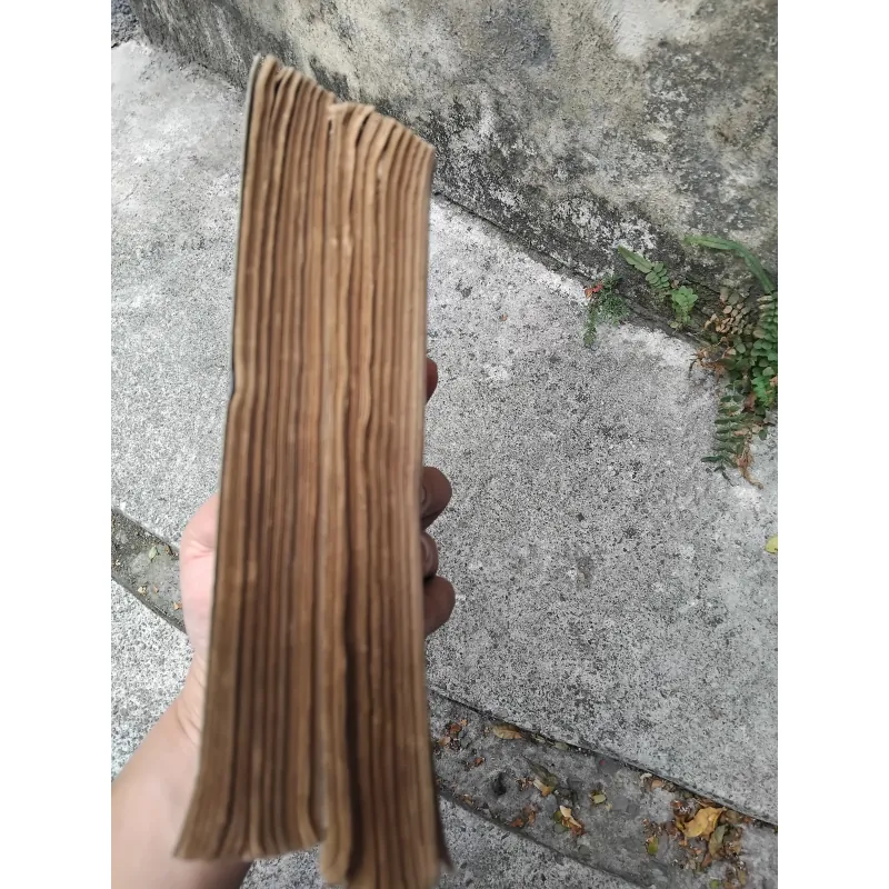 Sống và chết ở Thượng Hải tiểu thuyết của Trịnh Niệm  1019193