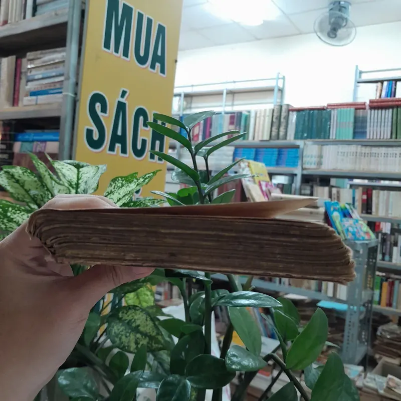 FULRO TẬP ĐOÀN TỘI PHẠM - NGÔN VĨNH 1042760