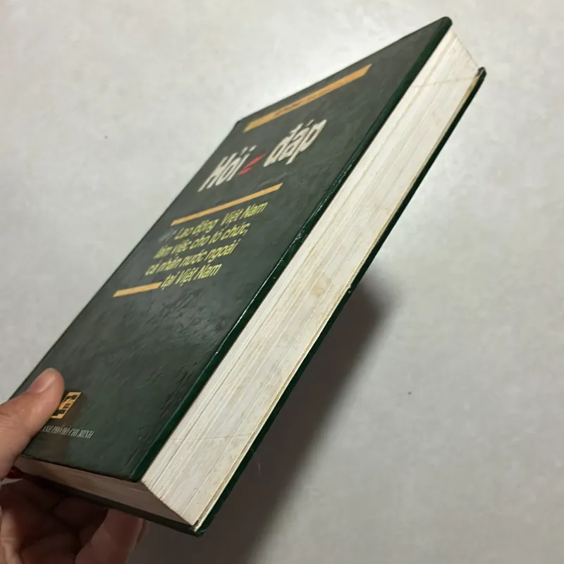 Hỏi đáp về lao động Việt Nam làm việc cho tổ chức cá nhân nước ngoài tại Việt Nam 759402