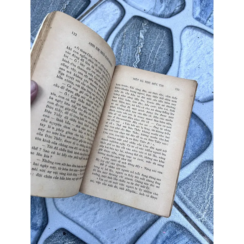 Anh em nhà karamazov - Trương Đình Cử (1972) 752773