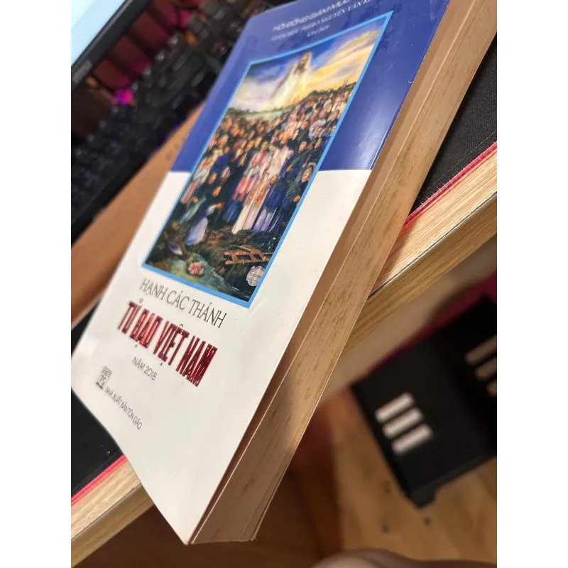 Hạnh các Thánh Tử Đạo Việt Nam 755271