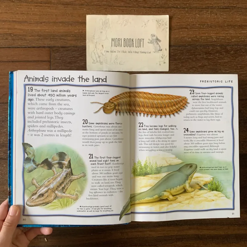 Sách ngoại văn Over 1000 Fantastic Animal Facts, Used, Bìa mềm, Siêu dày 578057