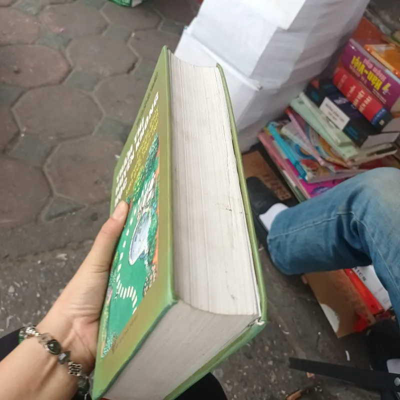 Thẩm Thị Huyền Không Học - Nguyễn Anh Vũ 1043932
