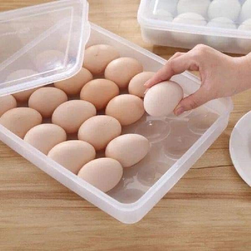 🥚🥚 Khay đựng trứng 1 tầng 24 quả🥚🥚 
 25713