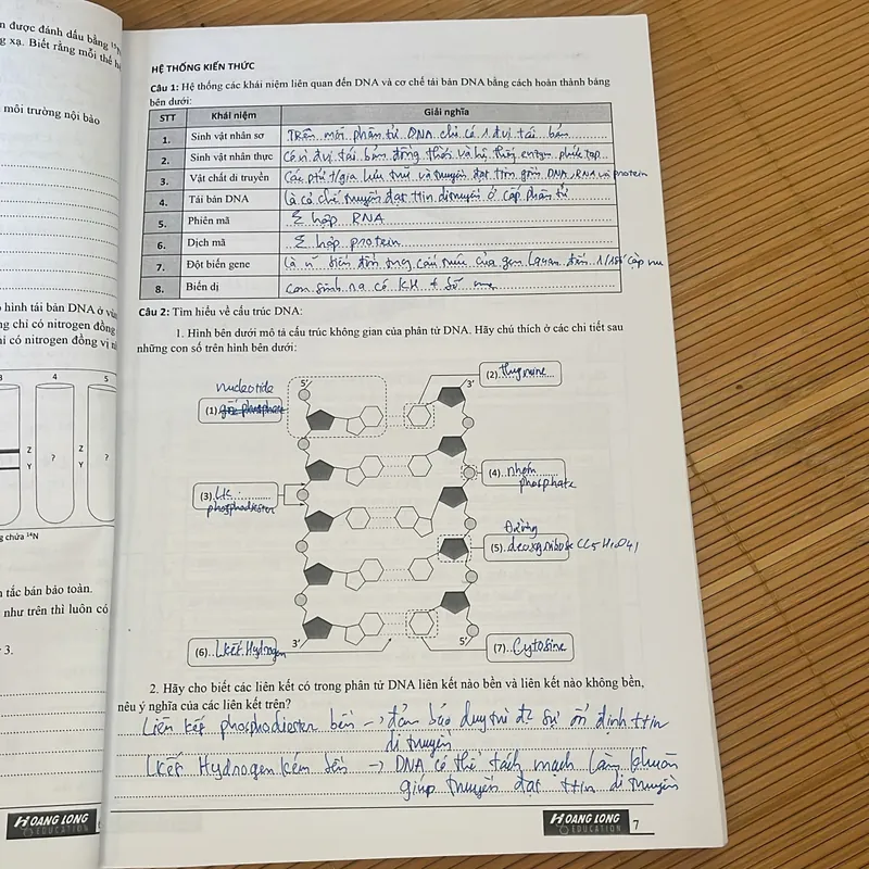 sách sinh học hoàng long 2024 tập 1 708594