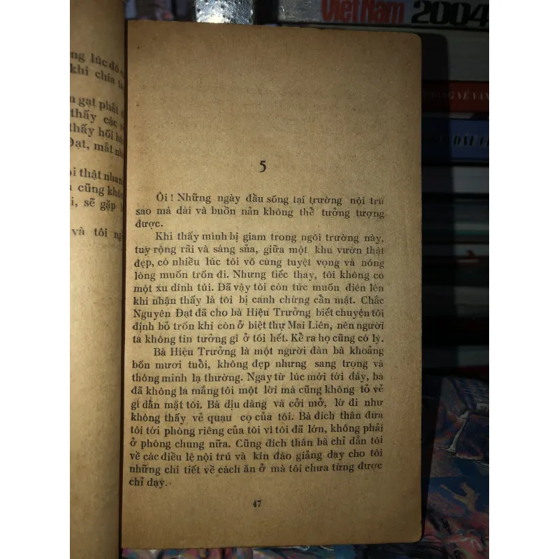 Mắt sao gợi nhớ - Delly 973342