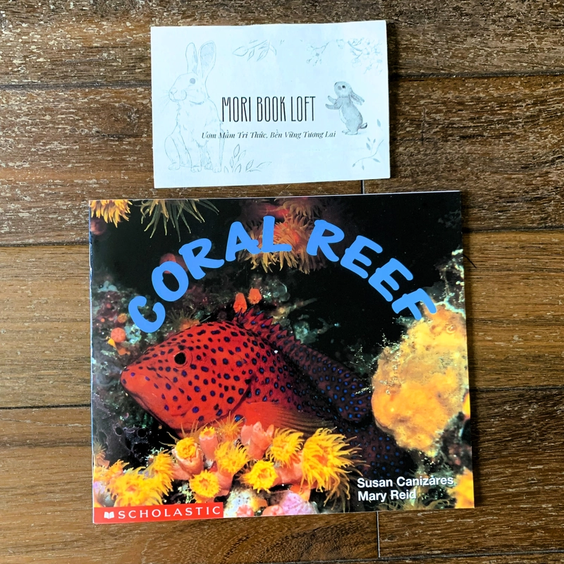 Combo 3c tập đọc Science Emergent Readers: Coral Reef; Desert; Nests, Nests, Nests, Used 477815