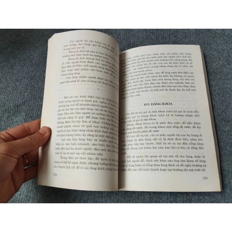 VIỆT NAM PHONG TỤC - PHAN KẾ BÍNH 729253