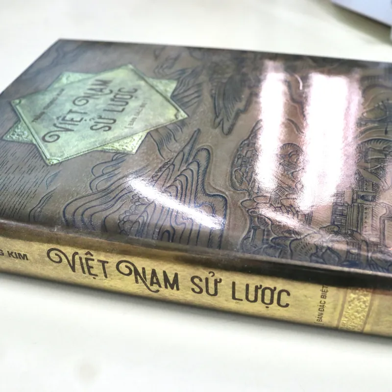 Sách Việt Nam Sử Lược 929712