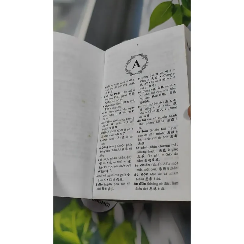 Từ Điển Việt Hoa - Kim Anh & Lệ Hằng 727299