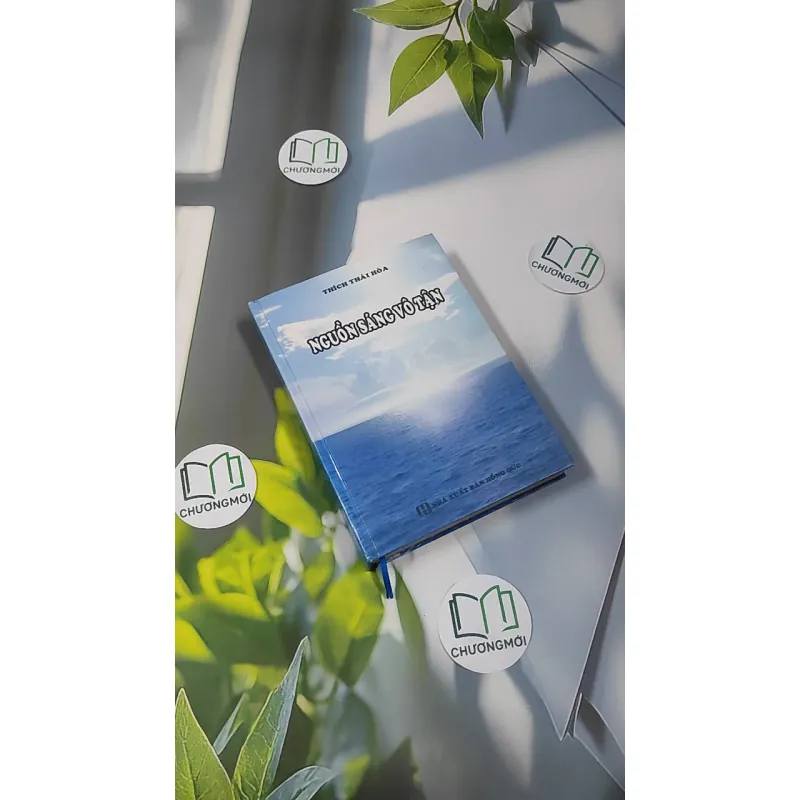 Nguồn Sáng Vô Tận - Thích Thái Hòa 990452