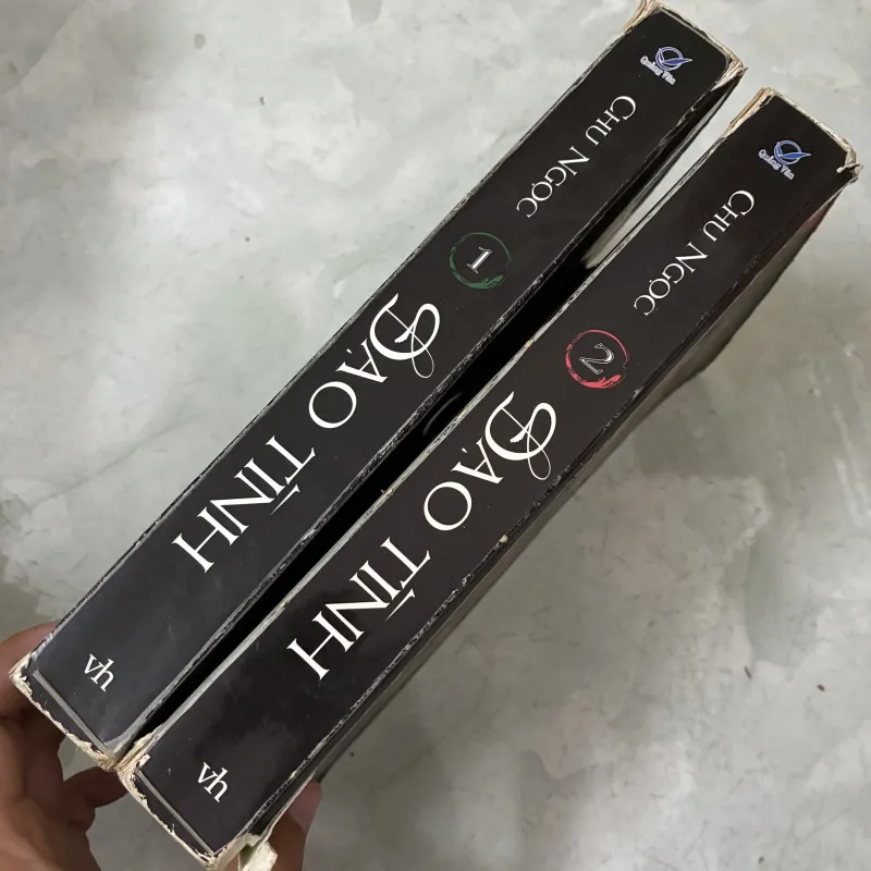 Đạo tình (Bộ 2 tập) 1040703