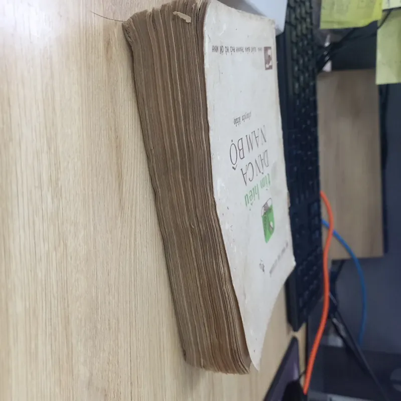 Tìm hiểu dân ca Nam Bộ (1983) - Lư Nhất Vũ và Lê Giang 1024262