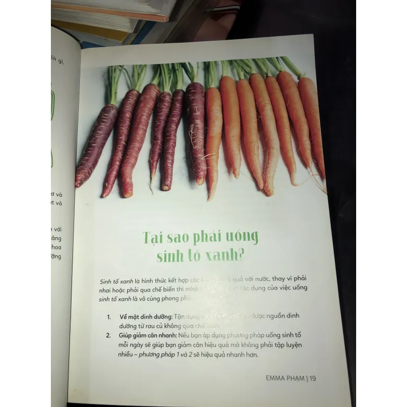 Green Smoothies - Emma Phạm 1010071