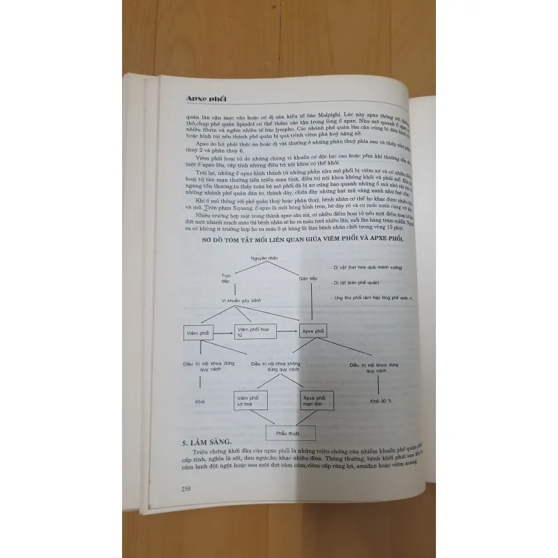BỆNH HỌC LAO VÀ BỆNH PHỐI  780295