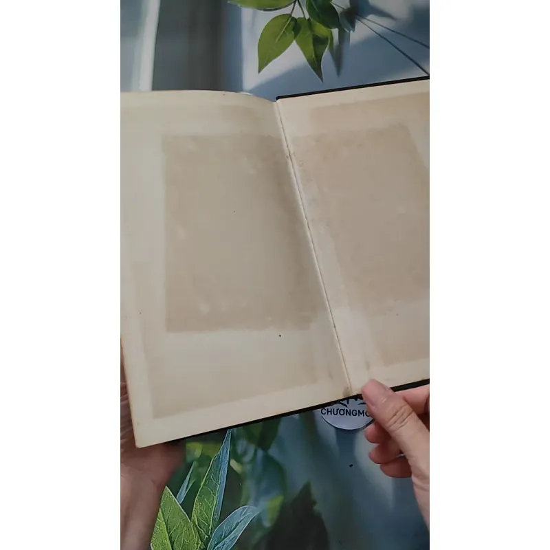 [MIỄN PHÍ BỌC SÁCH] [XƯA] The Chinese Assassin (1978) - Anthony Grey 990087