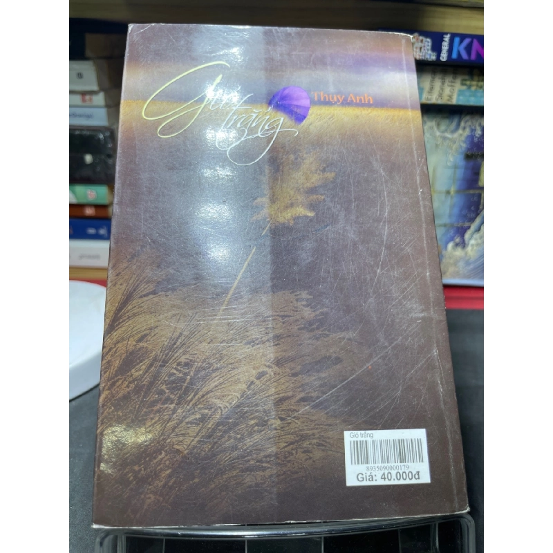 Gió trắng 2010 mới 70% ố bẩn nhẹ Thuỵ Anh HPB0906 SÁCH VĂN HỌC 915288