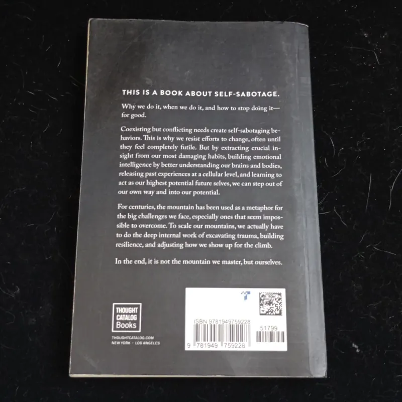 The mountain is you, Brianna Wiest 1003257