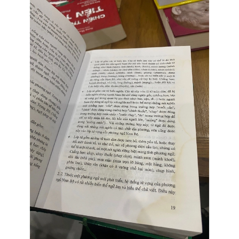 Từ điển từ ngữ Nam Bộ - Huỳnh Công Tín biên soạn 186836