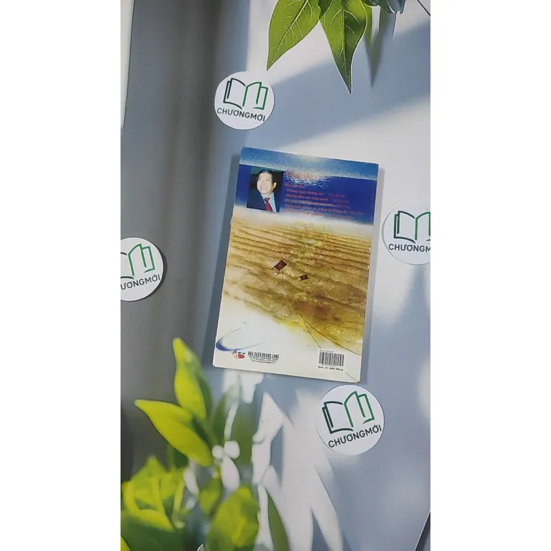 Chú Tư Con Là Ai - Thăng Sắc 798465