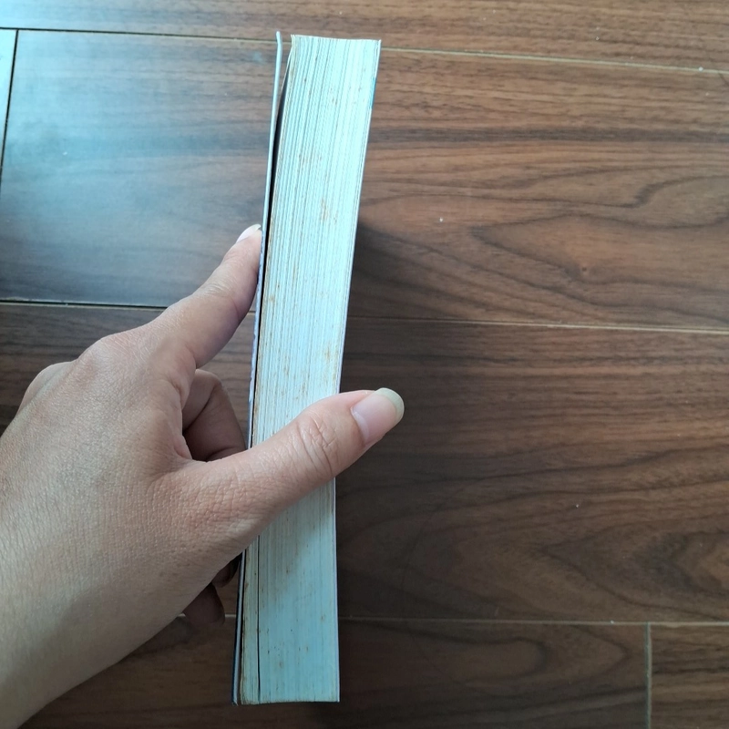 Hận tình và tham vọng 506008