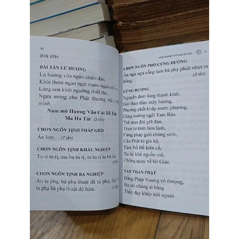 Kinh Chánh Pháp Sanghata - Hồng Như (dịch) 786907