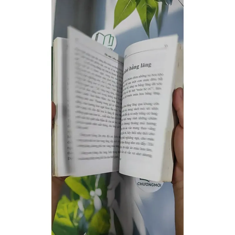 Mưa tháng giêng - Vũ Hoàng Luyến 798421