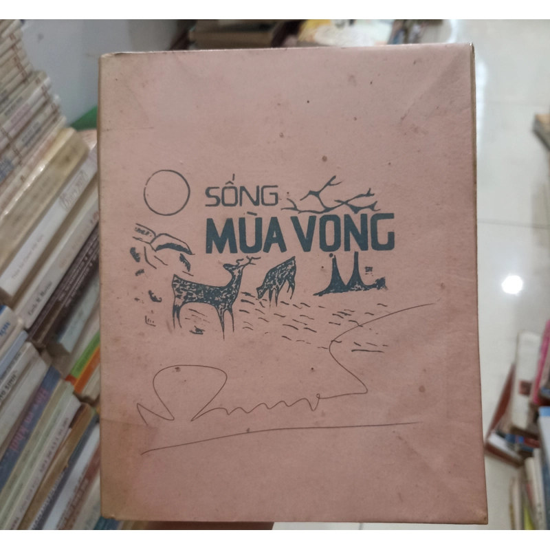 Sống mùa vọng 🌻 541611