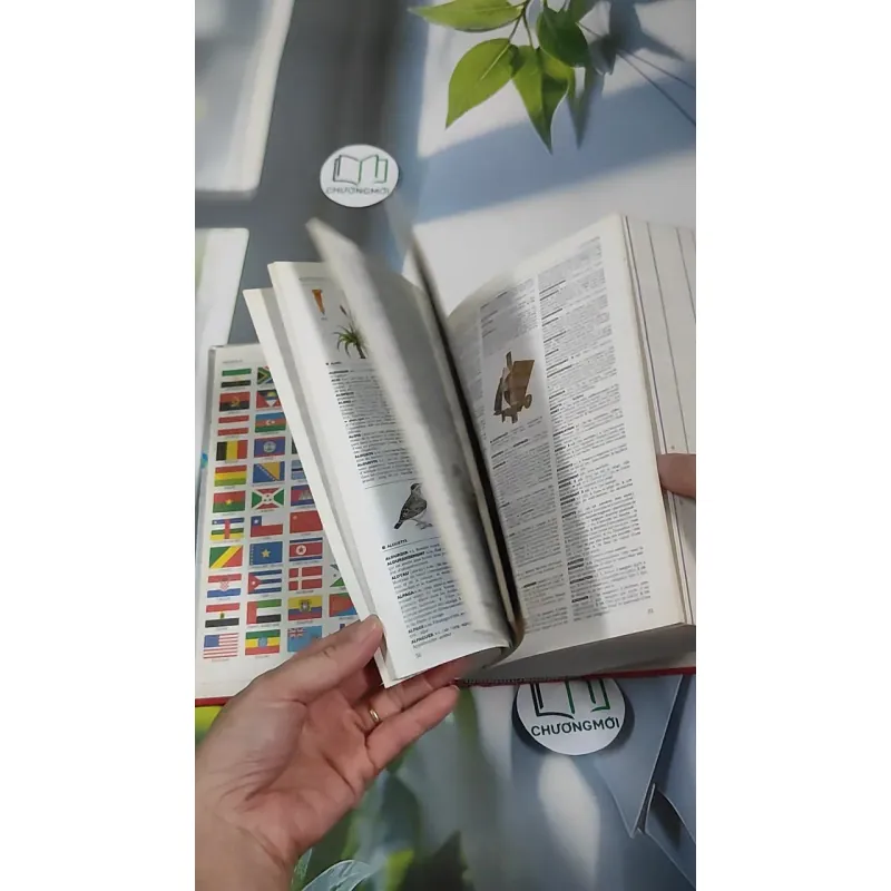 [MIỄN PHÍ BỌC SÁCH] Le Petit Larousse Illustré 2001 990523