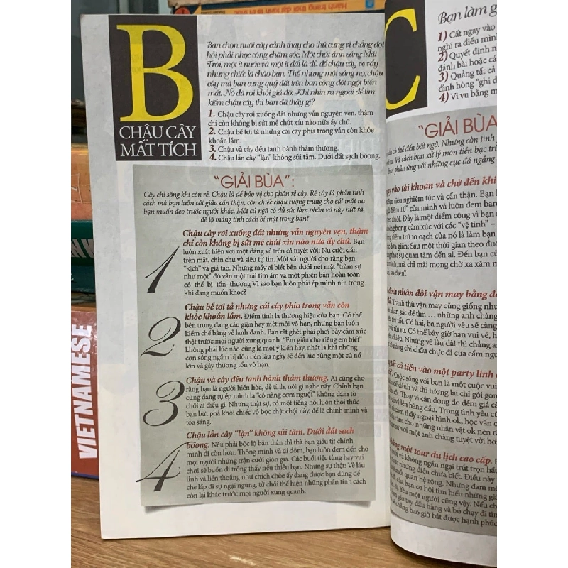 Trái tim dẫn lối  2 750650