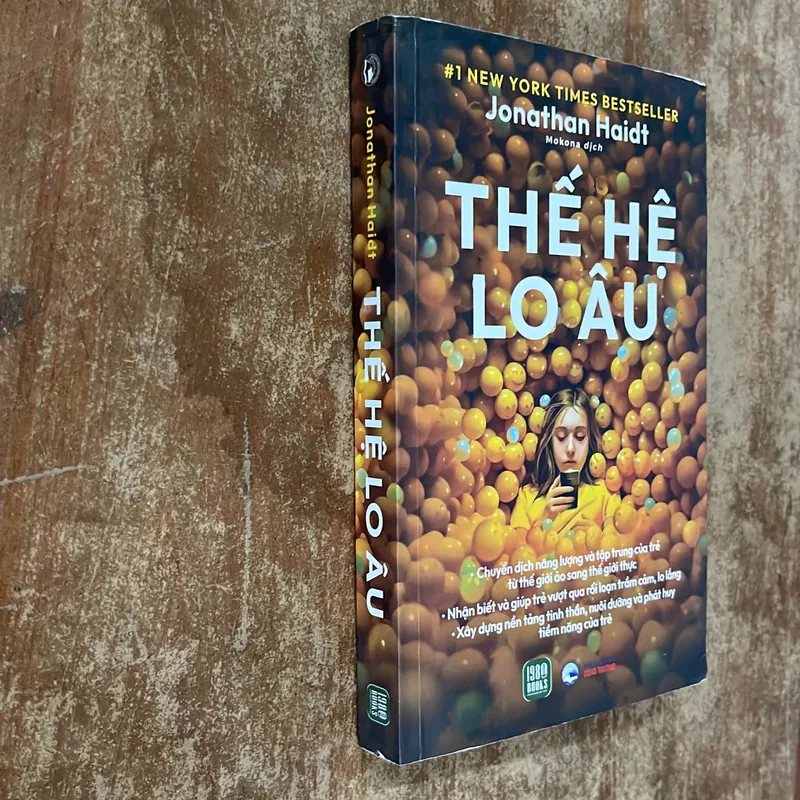 THẾ HỆ LO ÂU- JONATHAN HAIDT 675079