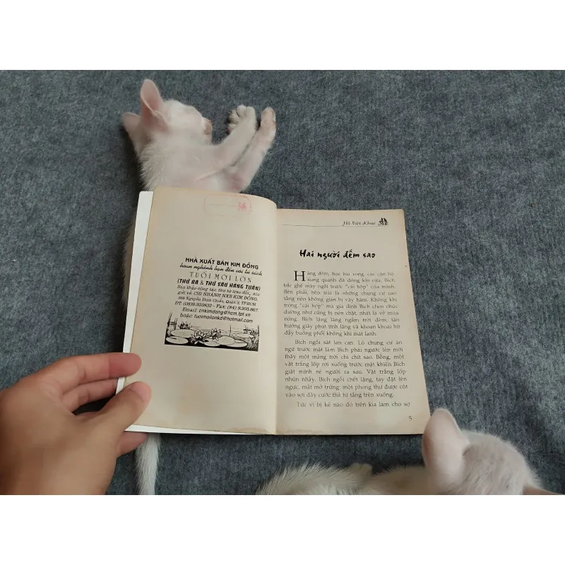 ĐÊM NGỌT - HỒ VIỆT KHUÊ 567796