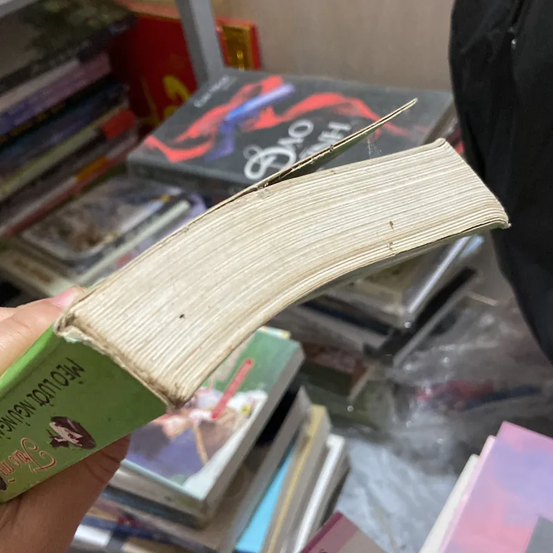 Trúc mã là sói - Mèo lười ngủ ngày 970309