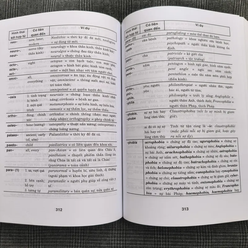 Từ vựng và ngữ pháp trong tiếng Anh 564682