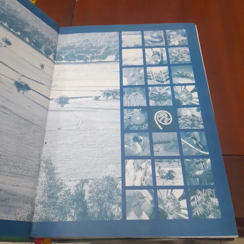 Từ điển BÁCH KHOA NÔNG NGHIỆP VIỆT NAM 603519