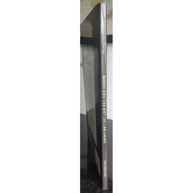 Sách Truyện Những Điều Cần Biết Lực Làm Chung - Diệu Âm Diệu Ngộ Tác giả 640217