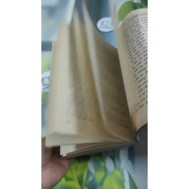 Nghệ Thuật Sống (1995) 727354