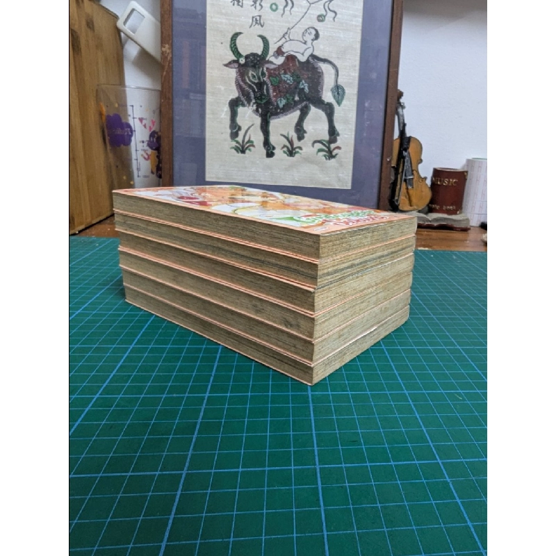 Truyện tranh Cardcaptor Sakura ( NXB TVM ) 552003
