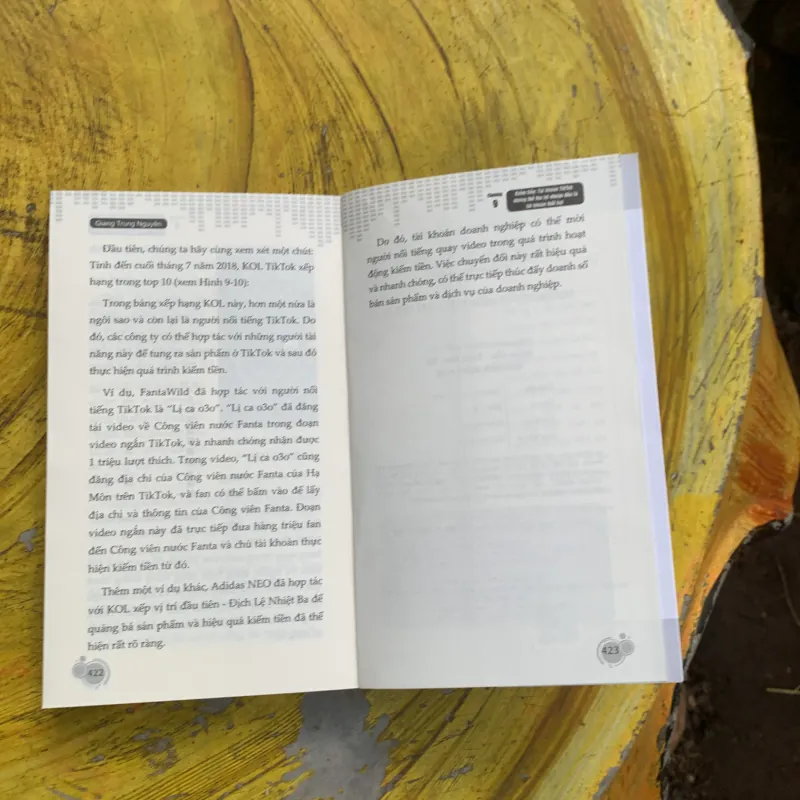 HƯỚNG DẪN KIẾM TIỀN TRÊN TIKTOK 747256