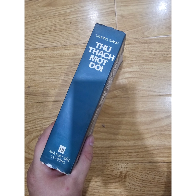 Thử thách một đời - trường giang  446609