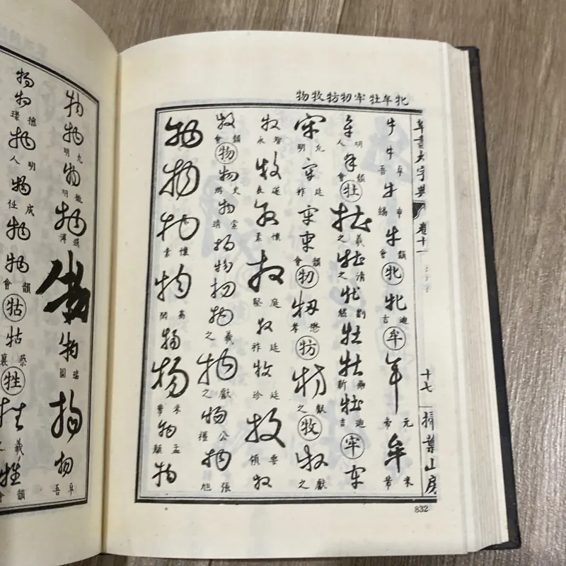THƯ PHÁP ĐẠI TỪ ĐIỂN, sách in tại Trung Quốc  1028997
