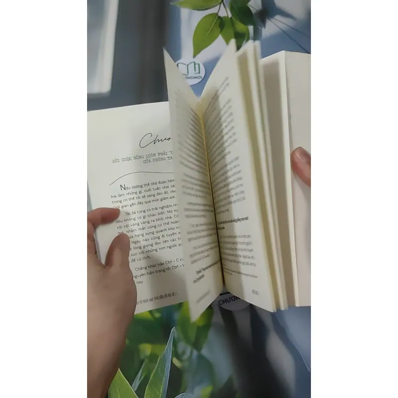 Một Lần Tới Nhân Gian, Phải Sống Đời Rực Rỡ - Lương Sảng 961157