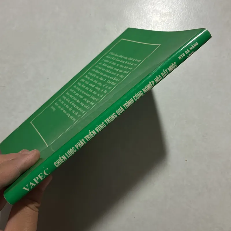 Chiến lược phát triển vùng trong quá trình công nghiệp hoá đất nước 727037